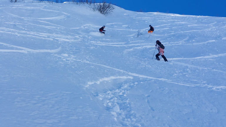 À quand la prochaine sortie ?