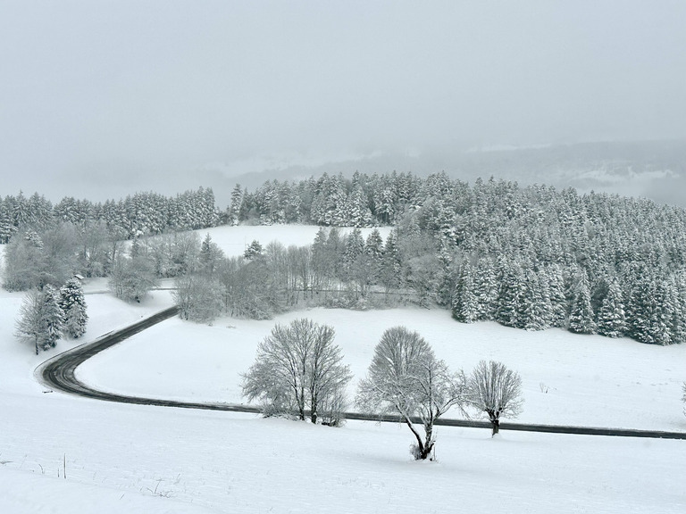 L’hiver est de retour dans le Vercors avec déjà 20cm de neige ce matin