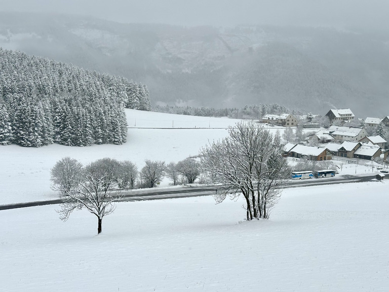 L’hiver est de retour dans le Vercors avec déjà 20cm de neige ce matin