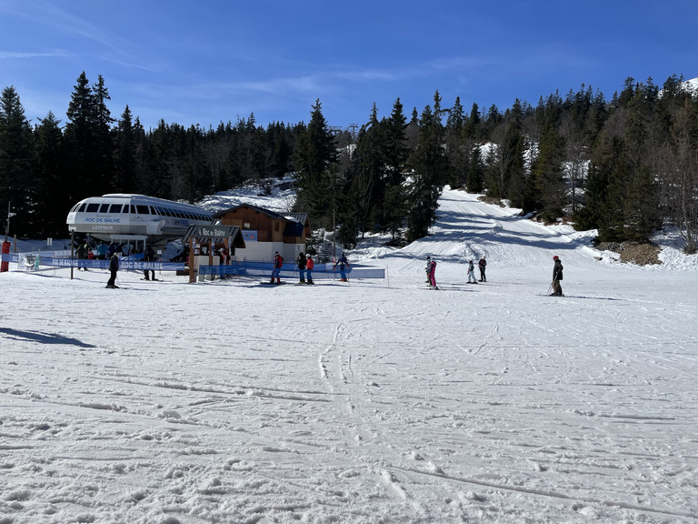 Ça sent non pas le sapin, mais le printemps..,