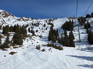 Journ&eacute;e printani&egrave;re avec ses Majesty