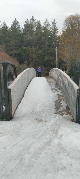 Ça sent la fin pour le ski de fond au Rosier