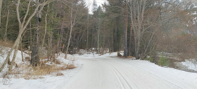 Ça sent la fin pour le ski de fond au Rosier