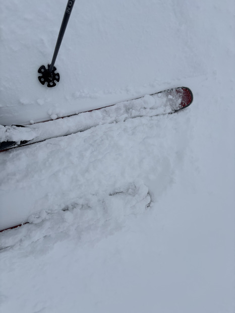 un petit coup de ❄️ bienvenu mais fugace…