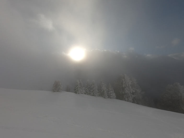 Livraison de neige timide 