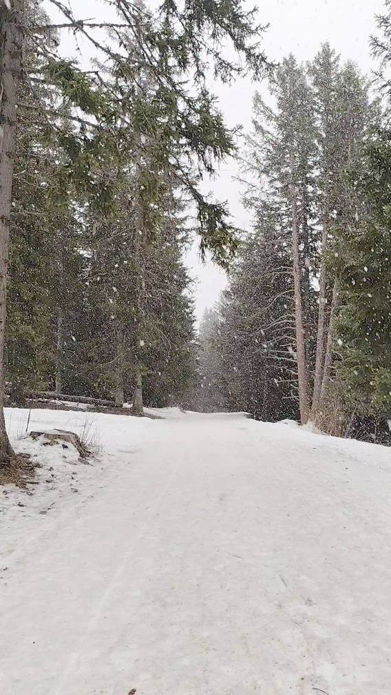 Chamrousse - Le Nordic Park fait de la résistance à 1600m