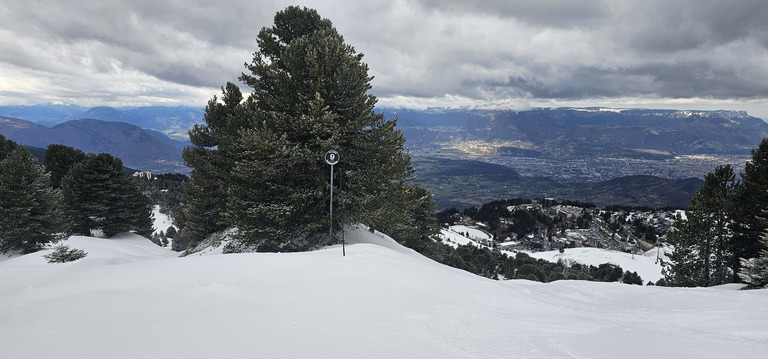 Chamrousse : plongée en neige fraîche !