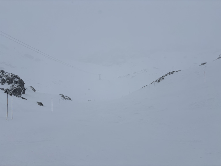 comme un petit soleil après la neige ⛄️ ☀️ 