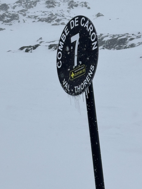 comme un petit soleil après la neige ⛄️ ☀️ 