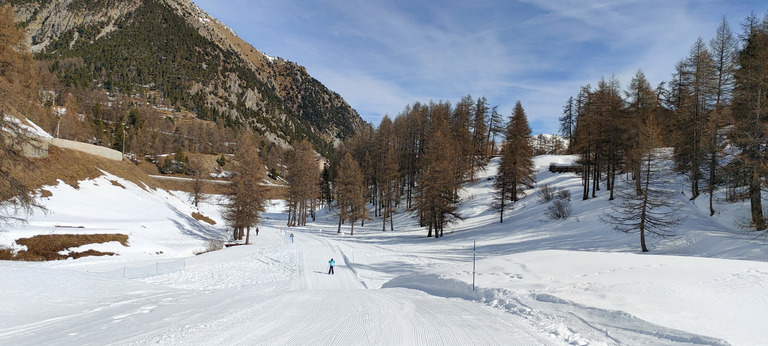 Très bonnes conditions pour le ski de fond 