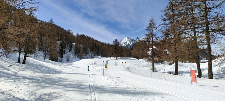 Très bonnes conditions pour le ski de fond 