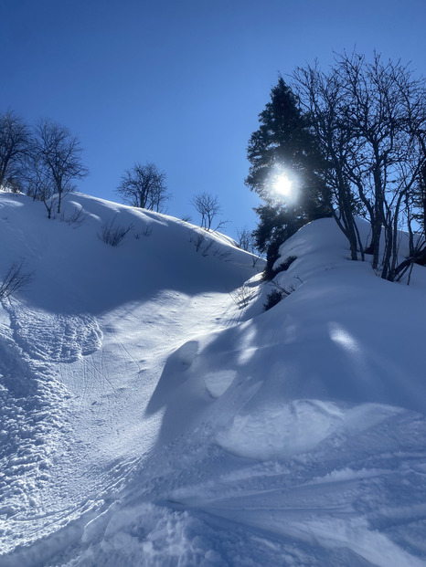 Il a reneigé, c’est reparti pour le ski !