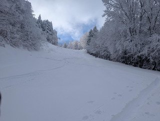Faire la trace à l'Alpe du Grand Serre