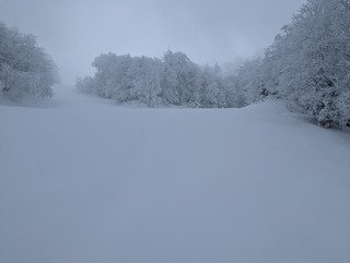 Faire la trace à l'Alpe du Grand Serre