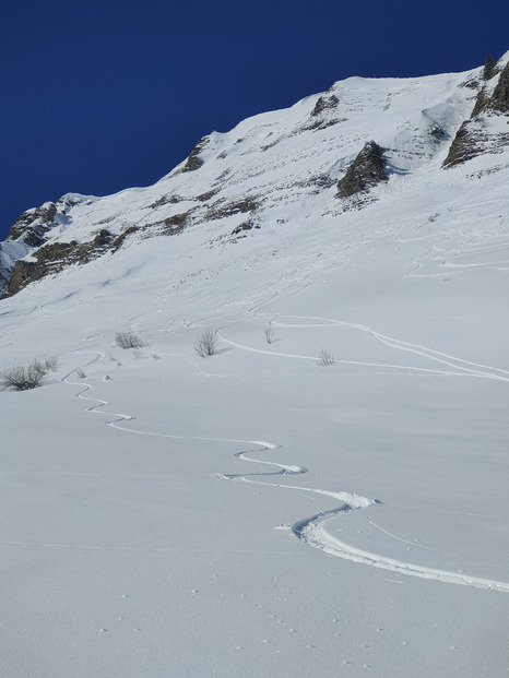 Finalement, l'hiver est toujours là...