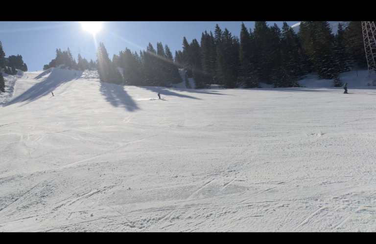 Matinée carving 5/5