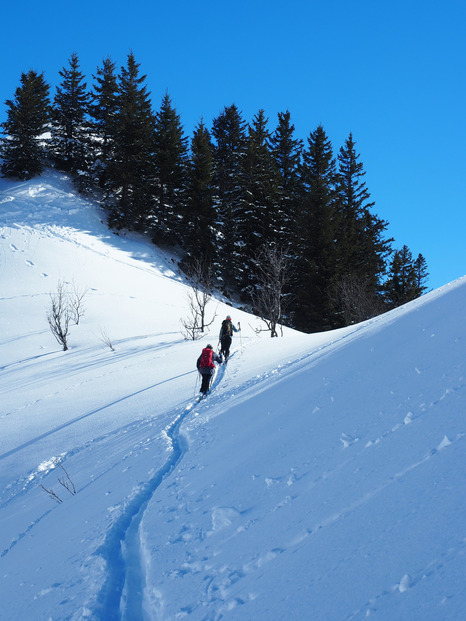 Sur les traces du Booz sauvage 