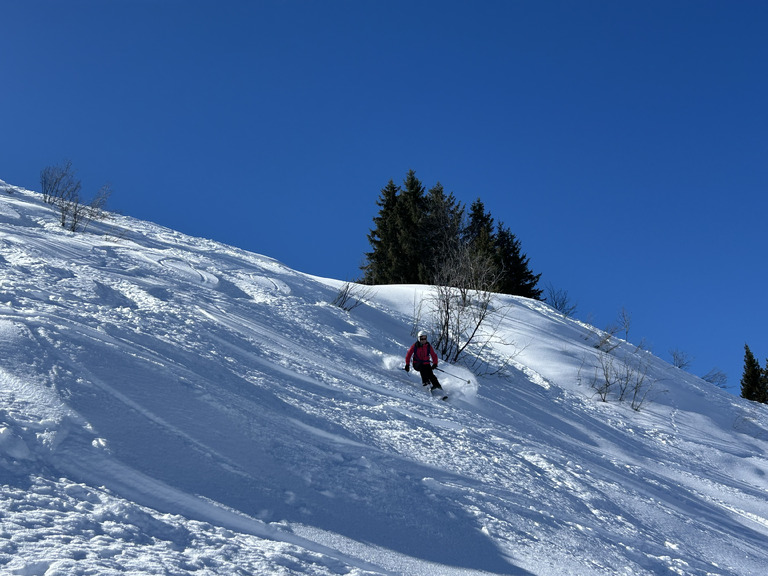 Il y a(vait) encore de la poudre