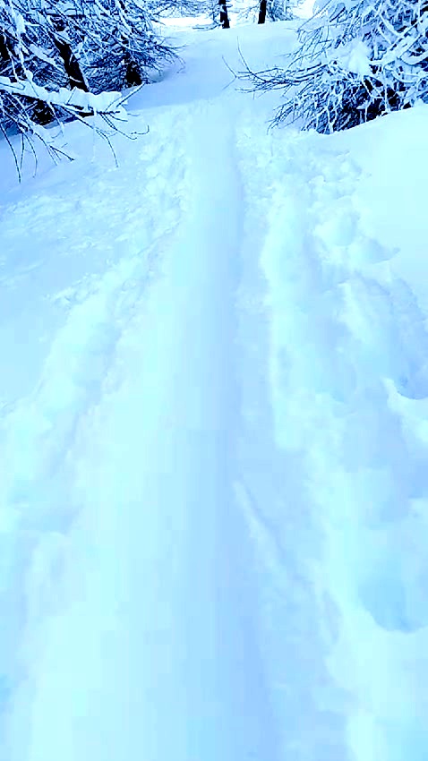 30 cm de bonheur, 30 cm de douceur 😍