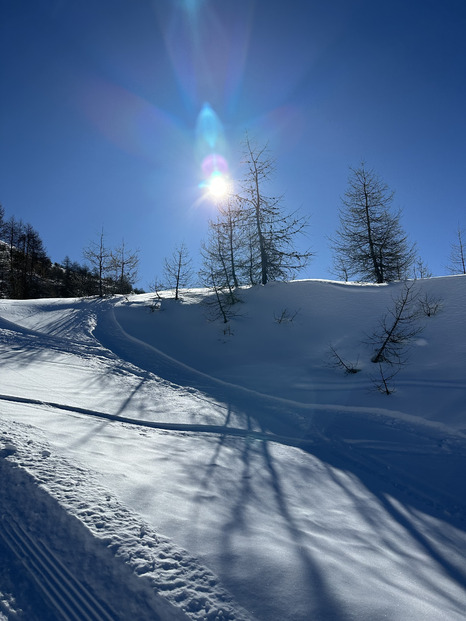 Le soleil, la neige et personne