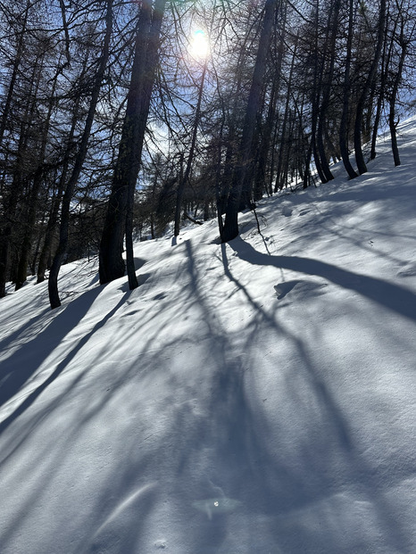 Journée test, et toujours soleil, neige et personne