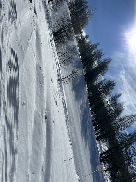 Journée test, et toujours soleil, neige et personne