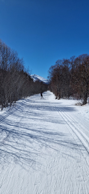 À fond le ski de fond 