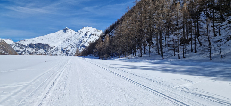 À fond le ski de fond 