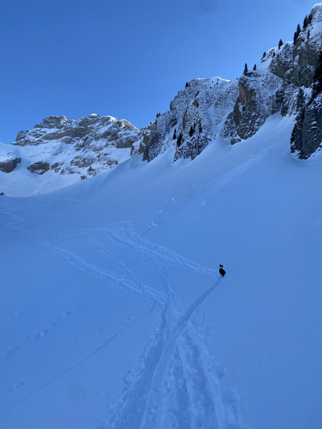 Du portage mais de la poudre ! 