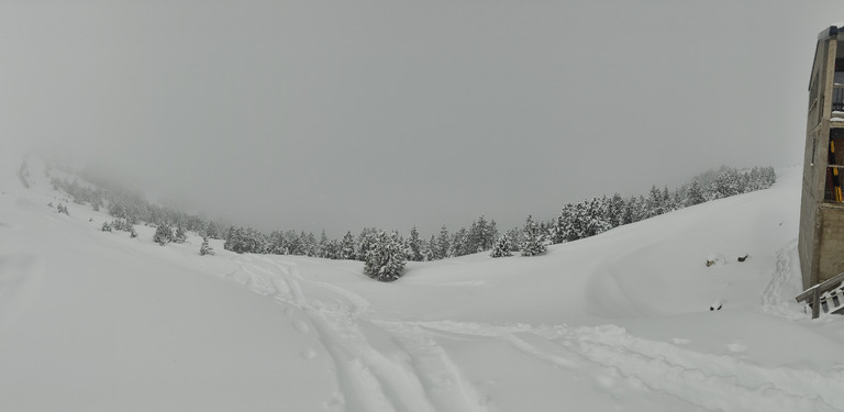 Jour blanc et peuf