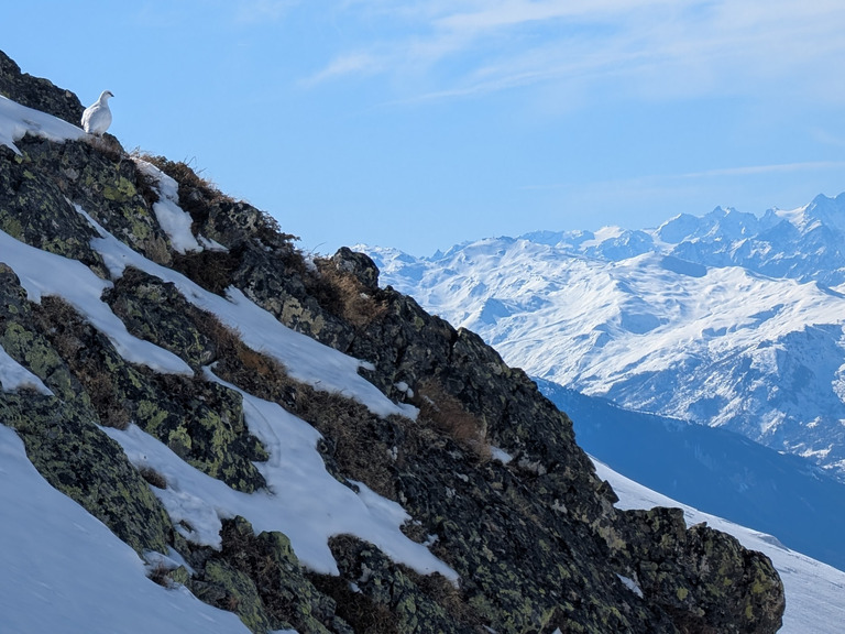 Le Beaufortain ne déçoit jamais...