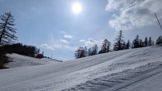 Session carving printanière !
