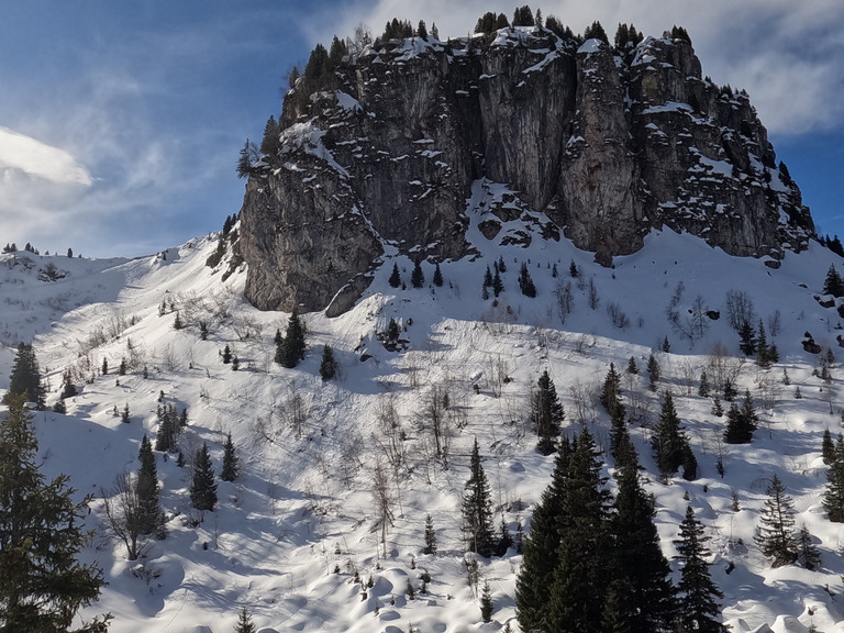 Neige de printemps comme on l'aime 