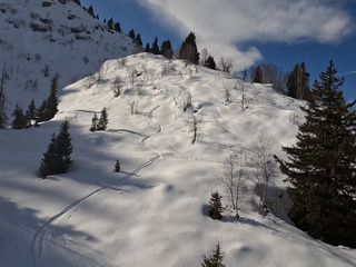 Neige de printemps comme on l'aime 