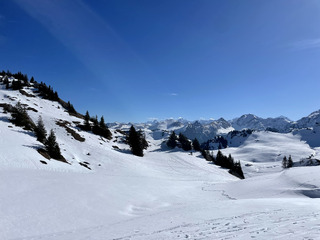 Alice in Oberland