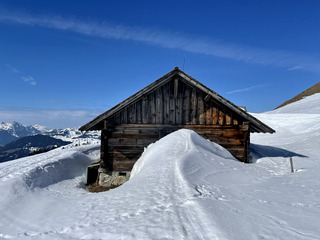 Alice in Oberland