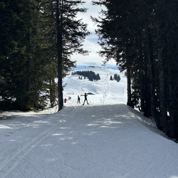 Fini le printemps… place l’été 
