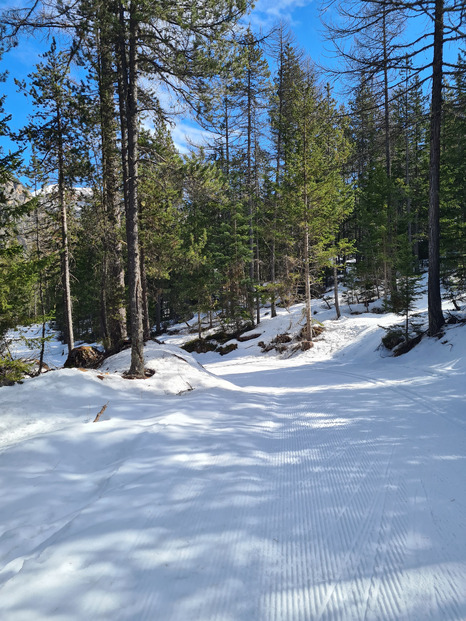 Très bon en skating