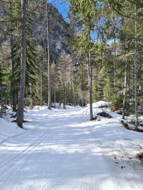 Très bon en skating