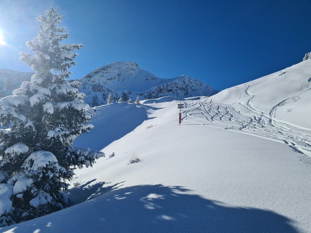 Bonne surprise à Areches 