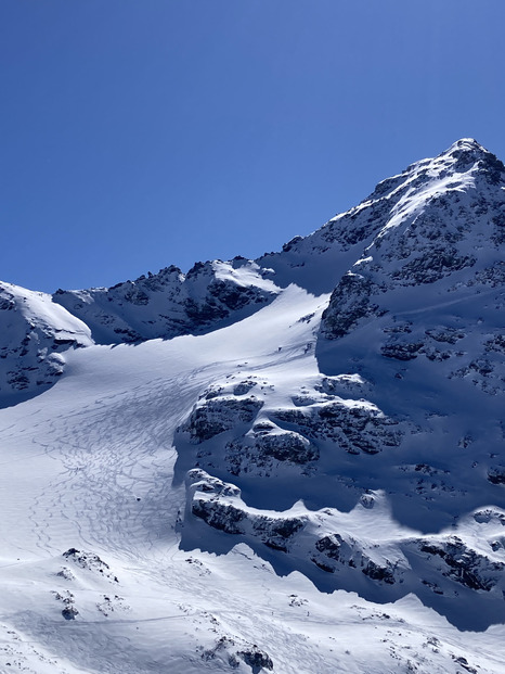 Lâché de piou piou sous le soleil et dans la poudre