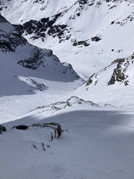 Lâché de piou piou sous le soleil et dans la poudre