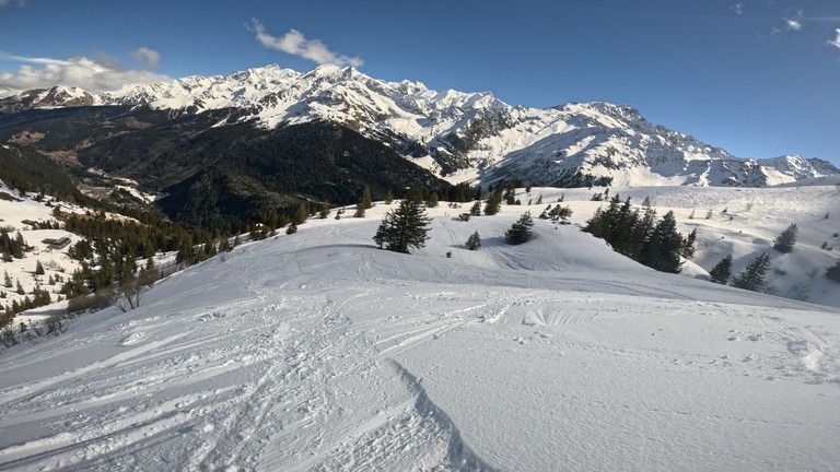 Heureusement qu’il en reste beaucoup !  ❄️ ❄️ 