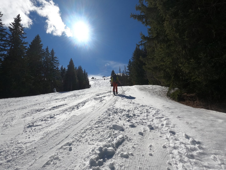 Neige printanière bien mouillée