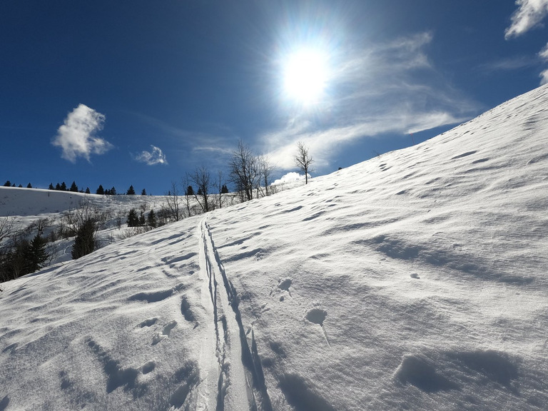 Neige printanière bien mouillée