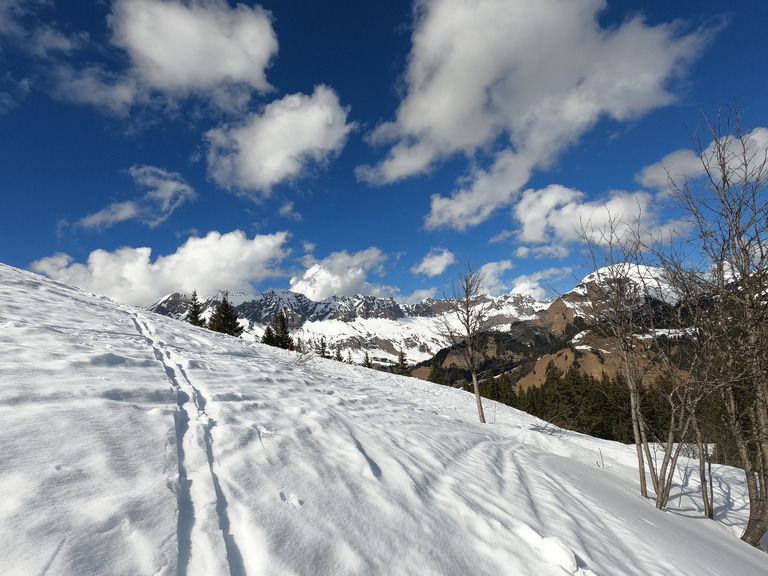 Neige printanière bien mouillée