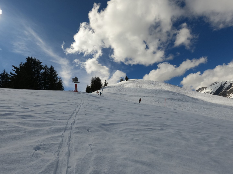 Neige printanière bien mouillée