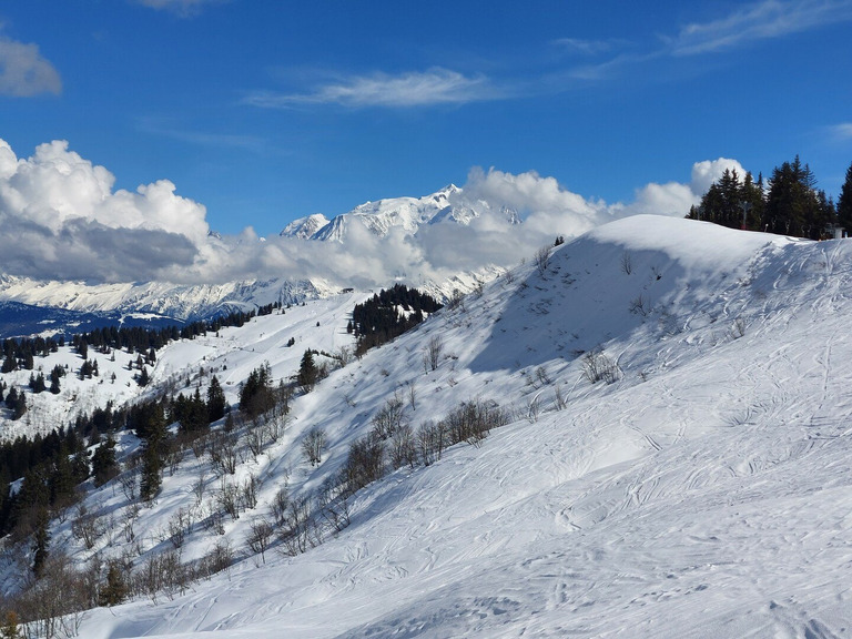 Neige printanière bien mouillée