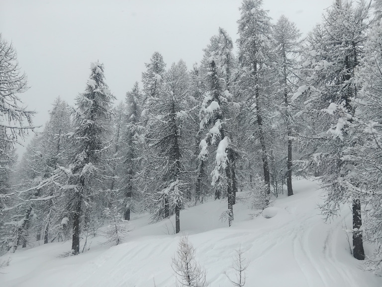 D'la poudre plein les naseaux