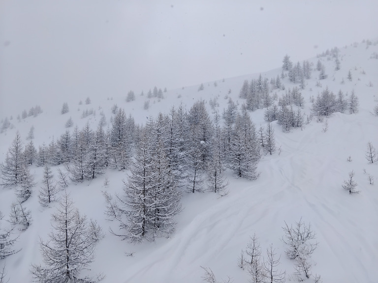 D'la poudre plein les naseaux